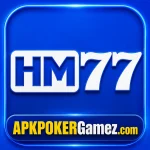 HM777 Game 